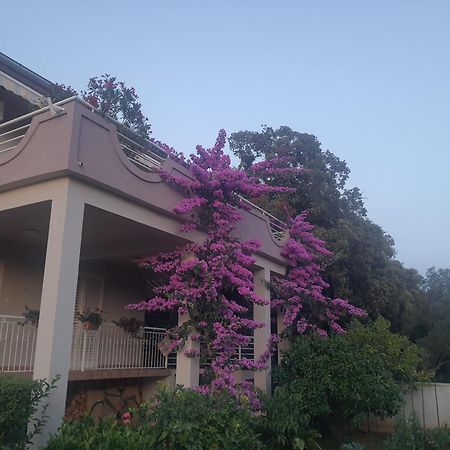 Apartments Adrian بيبينيا المظهر الخارجي الصورة